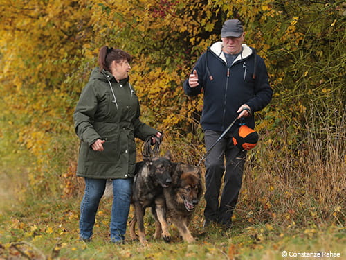 DOGGER: Erfolgsschlager aus der Schweiz