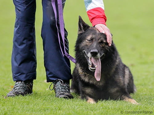 Darum haben wir Angst vor Veränderung