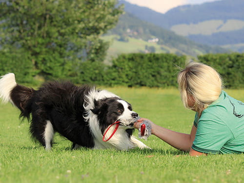 Spielen auf Augenhöhe