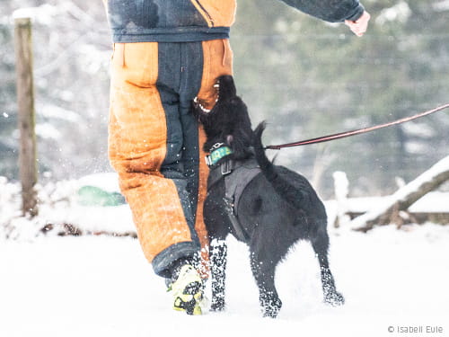 Mondioring, der Martin und was daraus resultierte