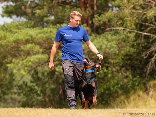 Wie wird man Hundetrainer?