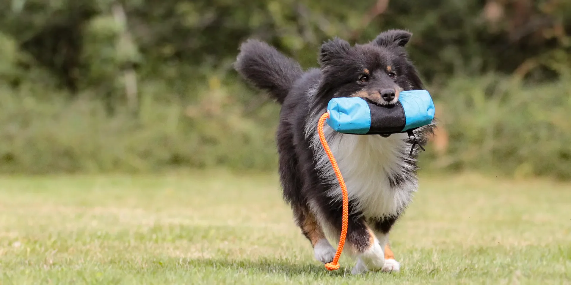 Startbanner_mystique_FutterDummy