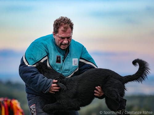 Als Exot zwischen Malinois