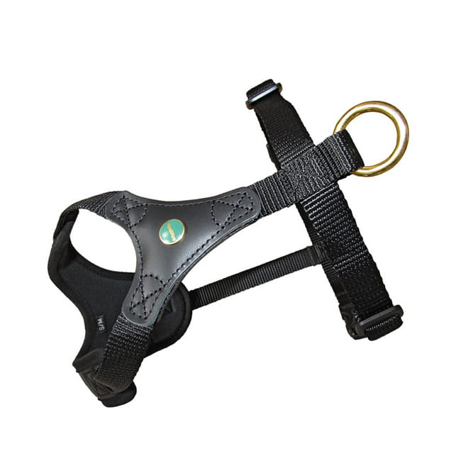 Niggeloh Follow START XXS/XS schwarz-schwarz