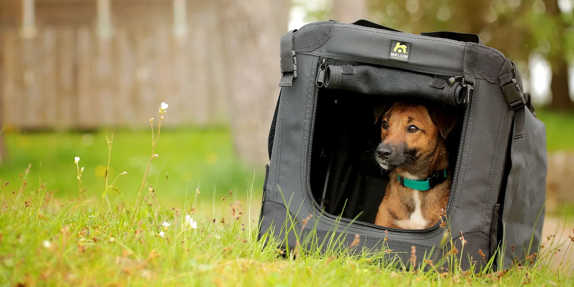 Startbanner_maelson_box_1920x1920