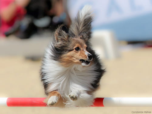 Saisonauftakt nach Maß: B.A.C.K. 2020