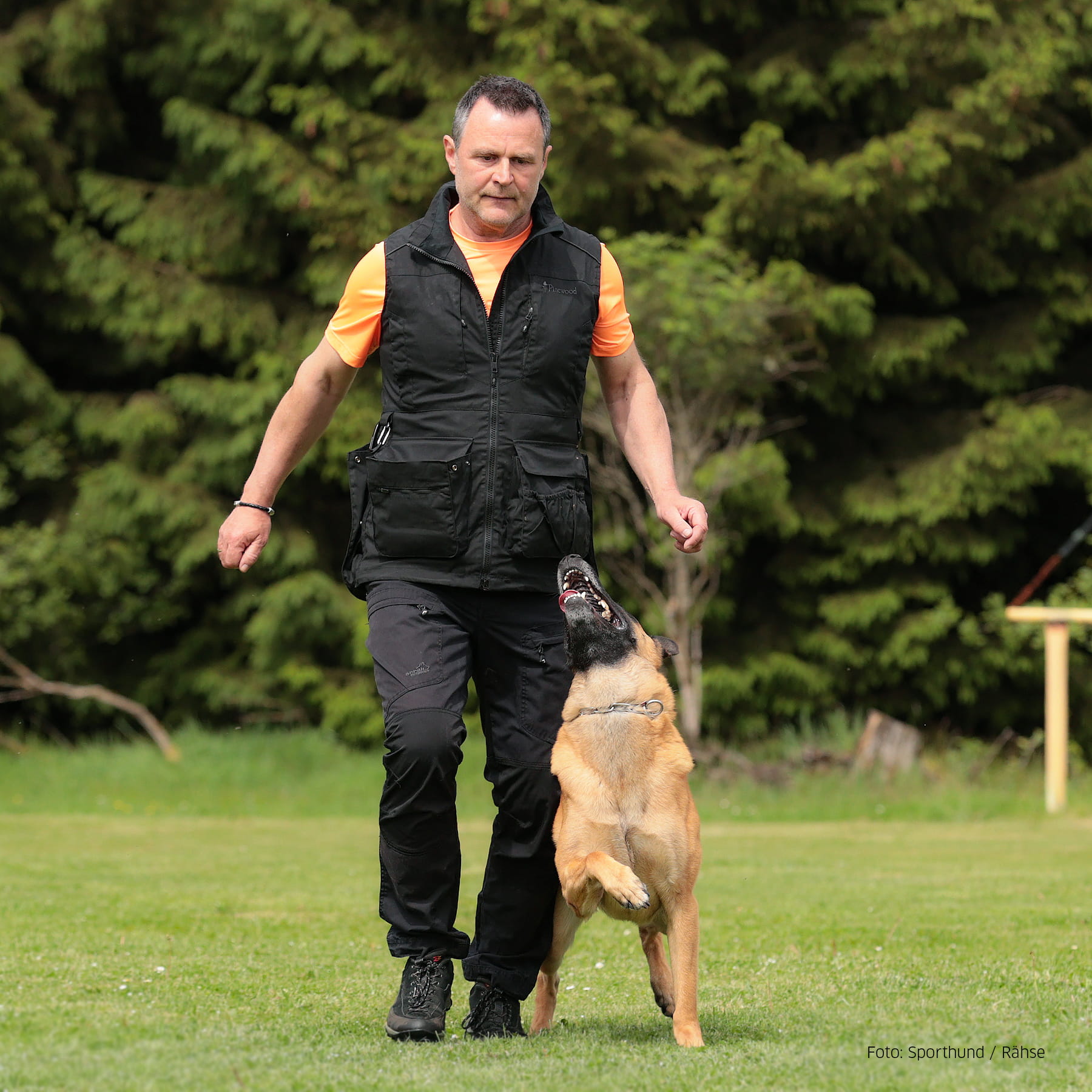 Dog Sports Expert Weste Herren Schwarz XL