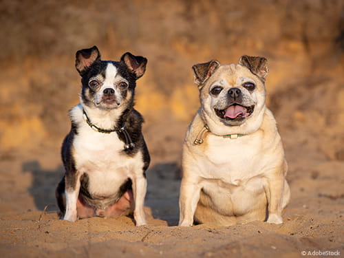 Atemlos durch Tag und Nacht