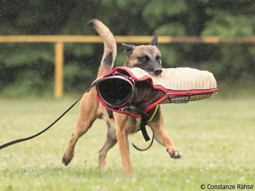 Eine Frage des Charakters