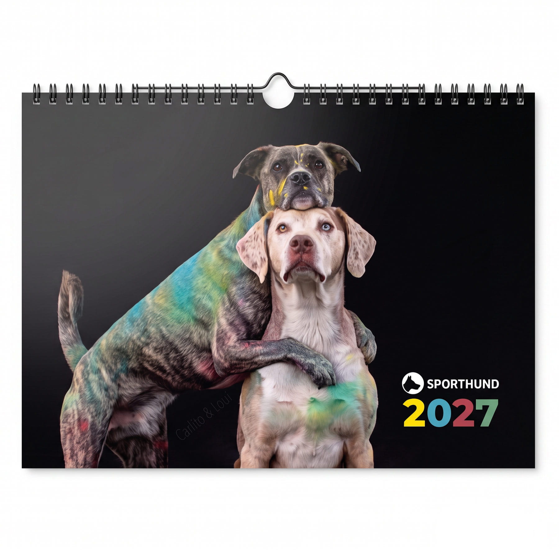 Holi Wandkalender 2027