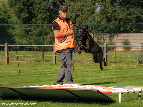 Doppelte Titelverteidigung geglückt