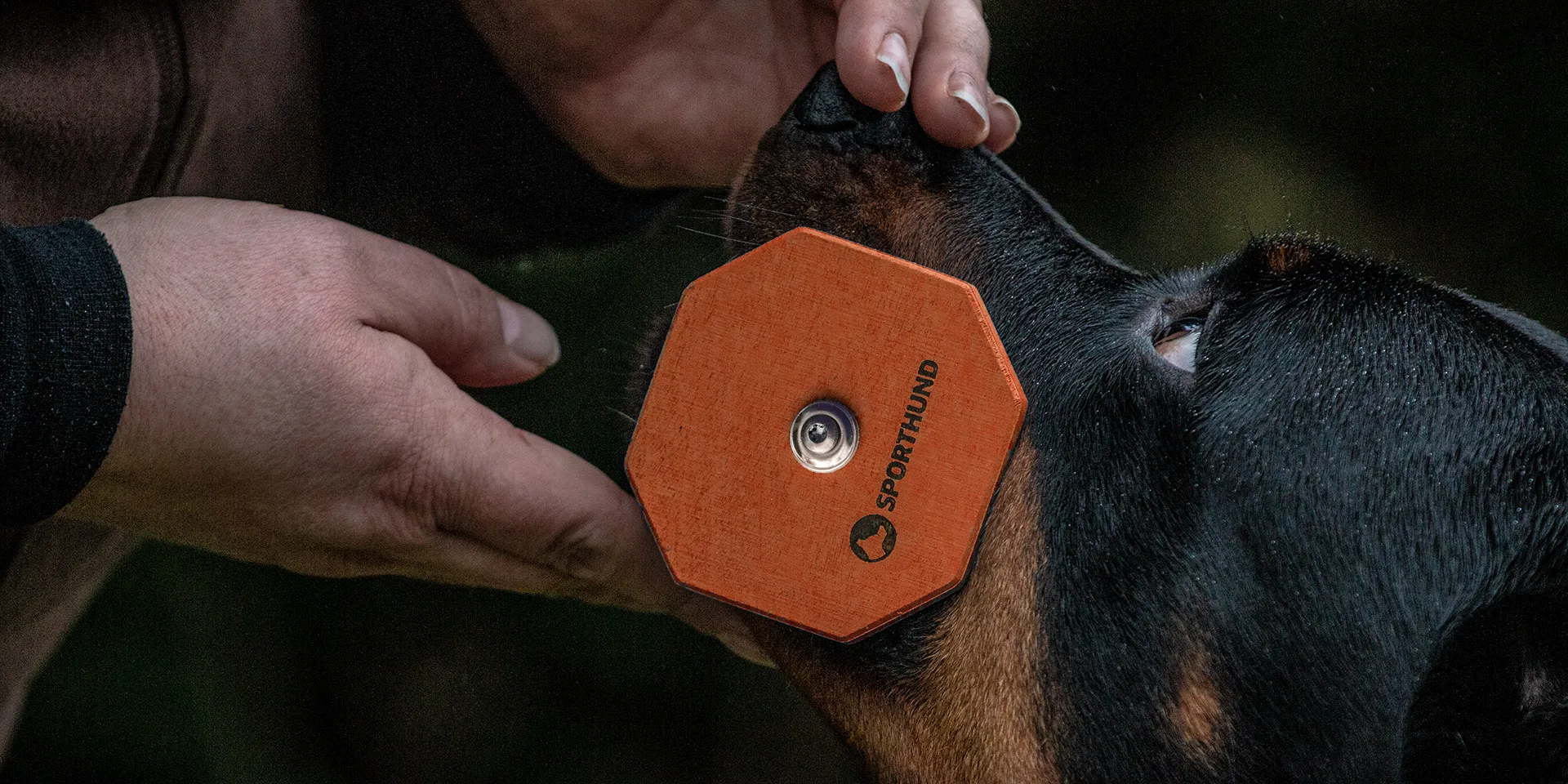 Startbanner_Speedapportel_orange