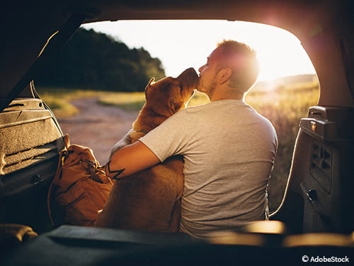 Ich fühle was, was du nicht siehst