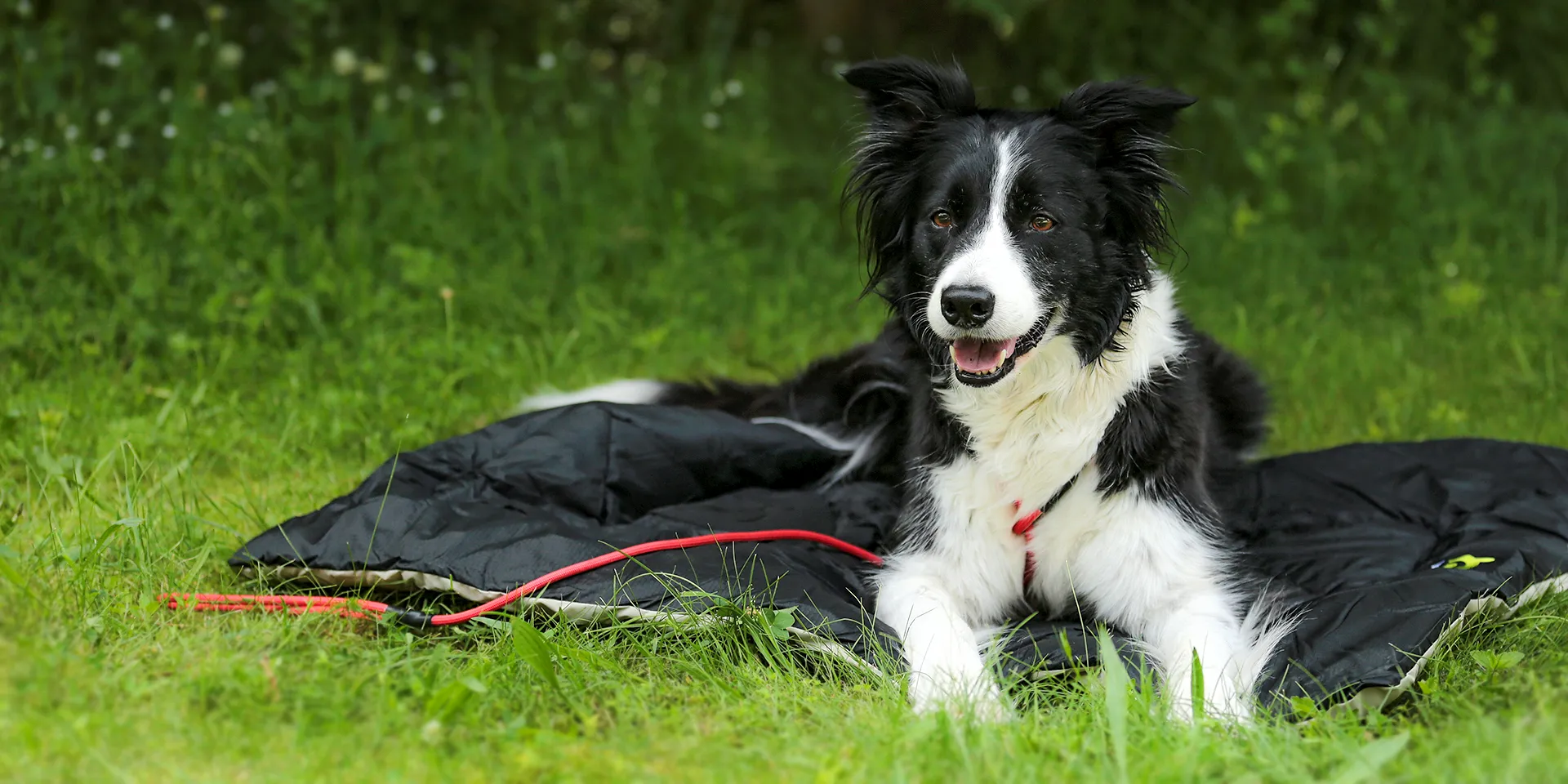 Startbanner_maelson_cosyroll