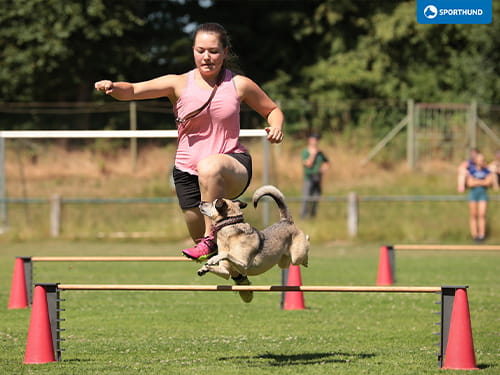 Teamarbeit rockt bayerische Meisterschaft THS 2023