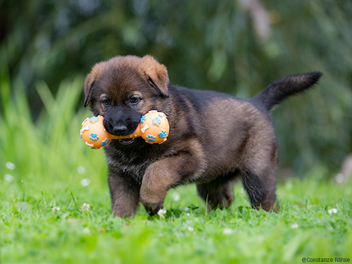 Weichei, Lusche, Pfeife?