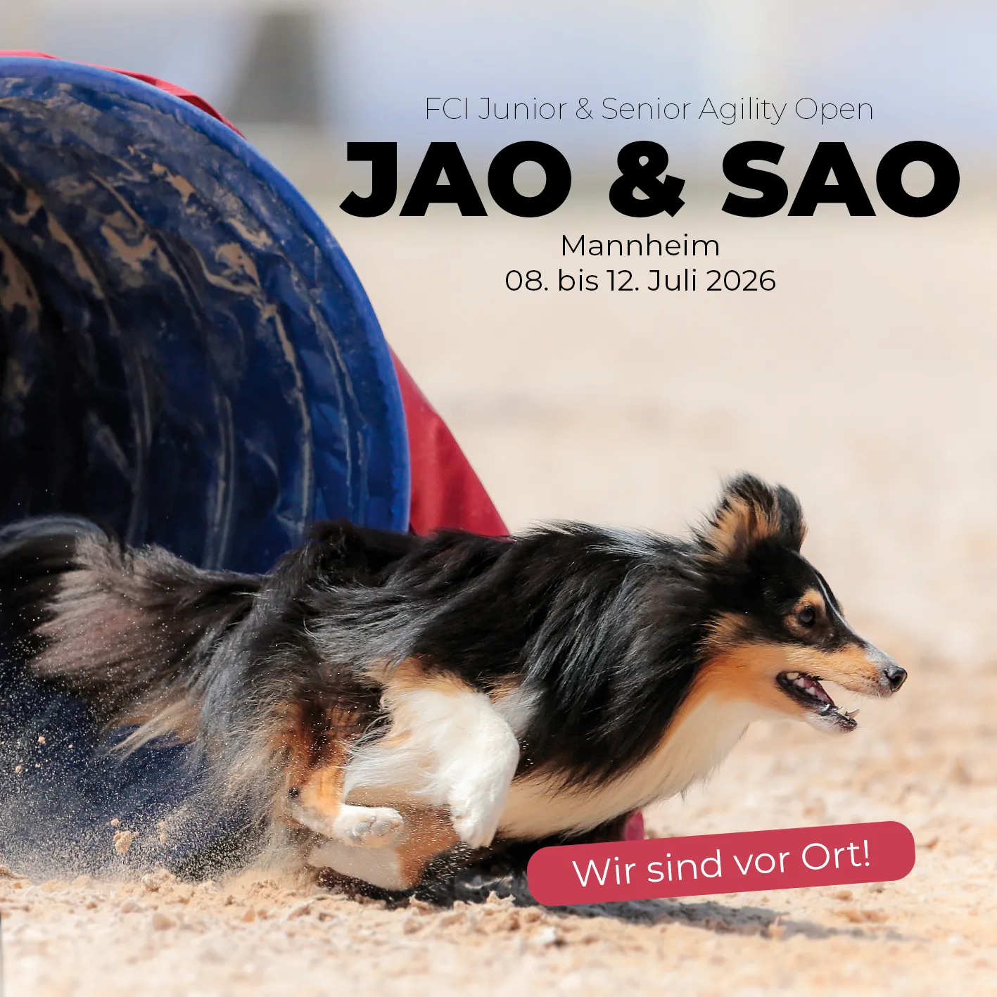 Startbanner_JAO