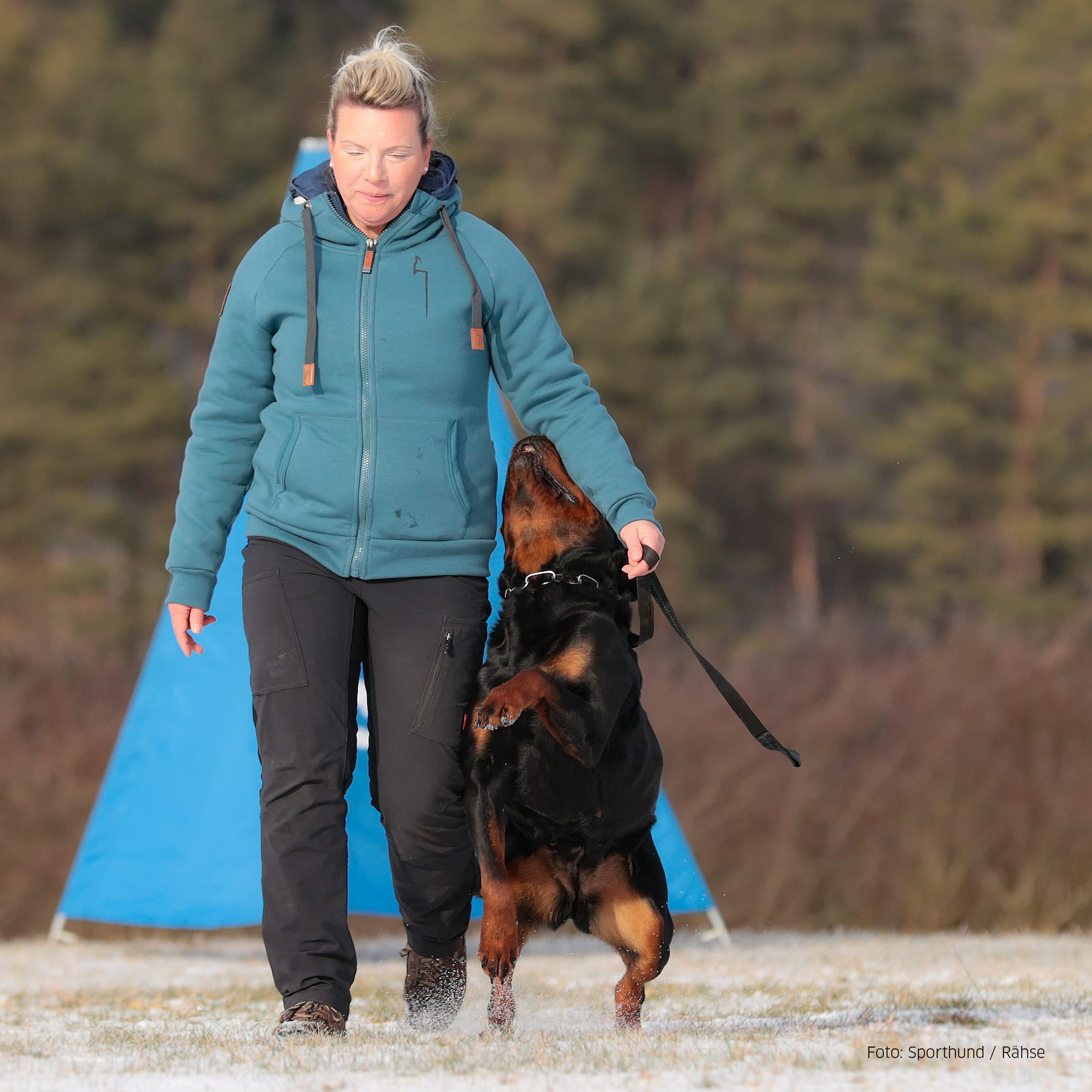 DOGGER Winterhoodie Damen smoke blue 34
