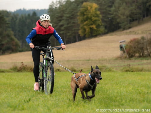 Bikejöring - Was ist denn das?
