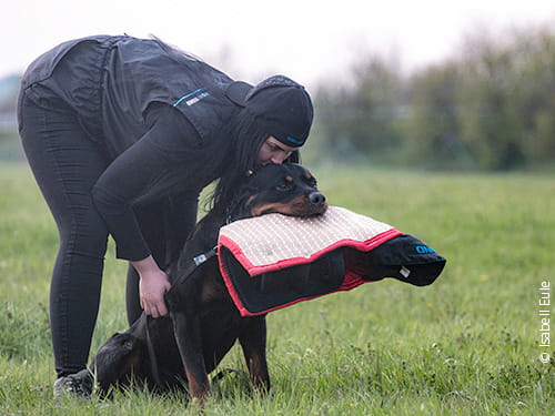 "You're simply the best, ..."