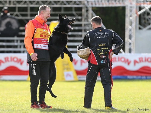 Stimmeinsatz beim Hundetraining