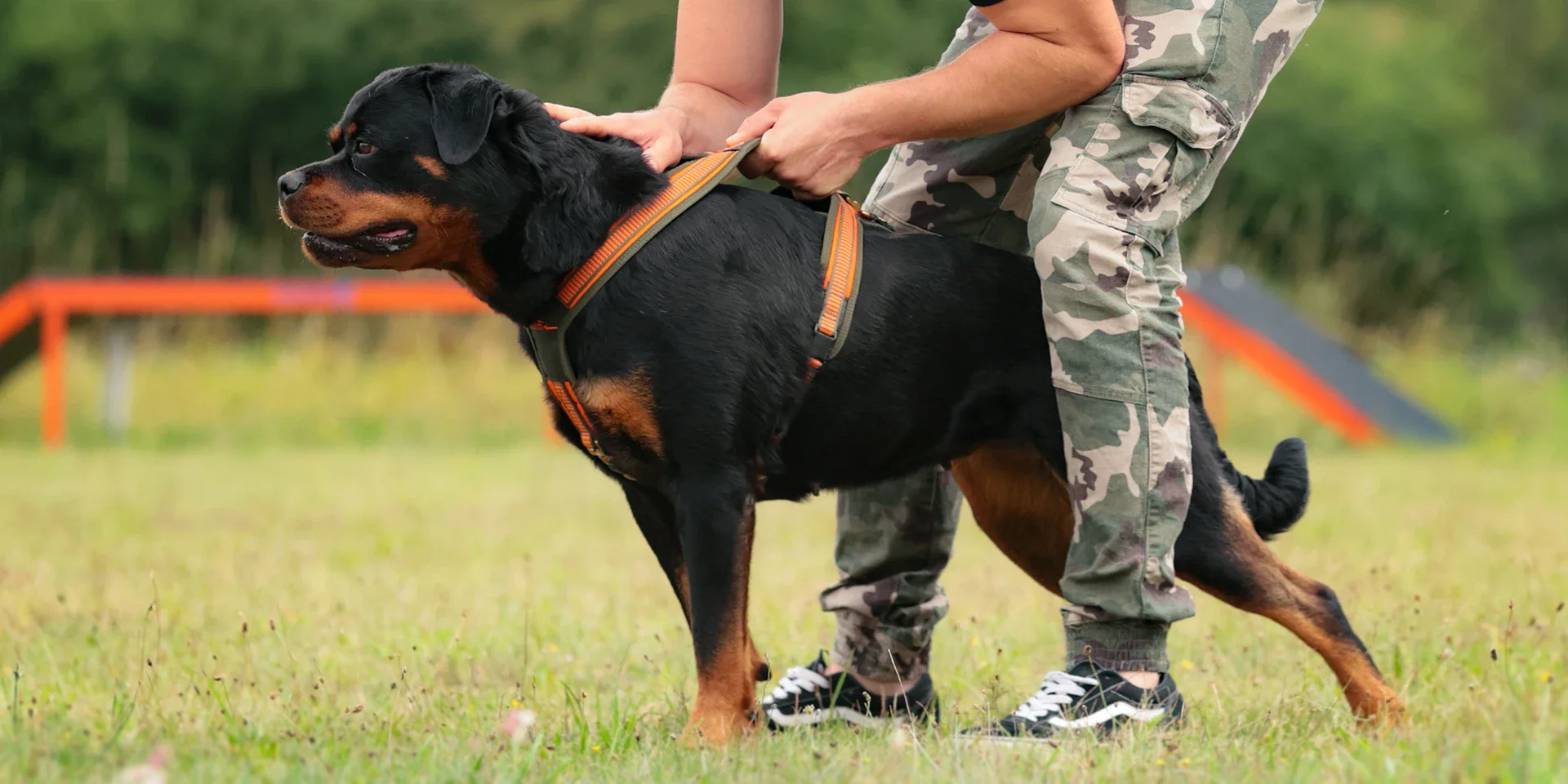 Startbanner_NiggelohFollow