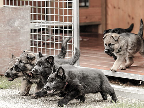 Lieber ein Einzelkind?