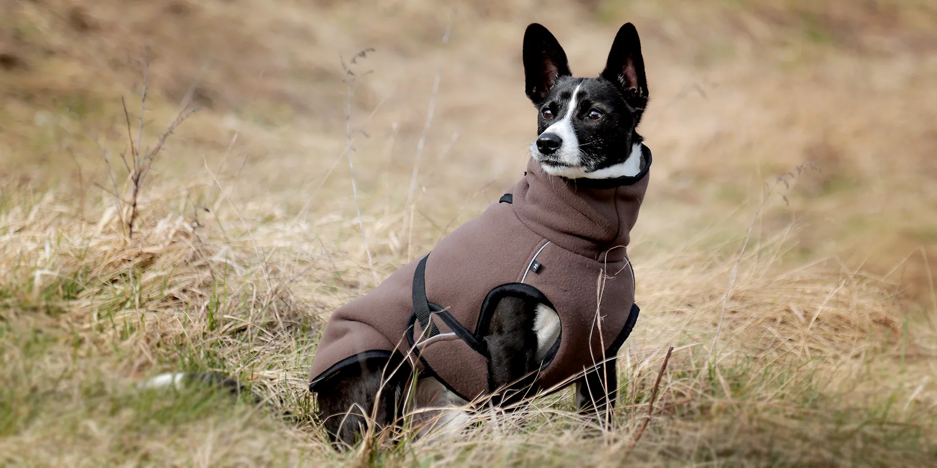 Startbanner_actionfactory_warmup_mocca