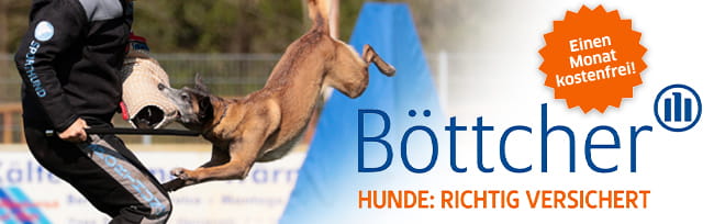 Banner-Bttcher-Versicherung