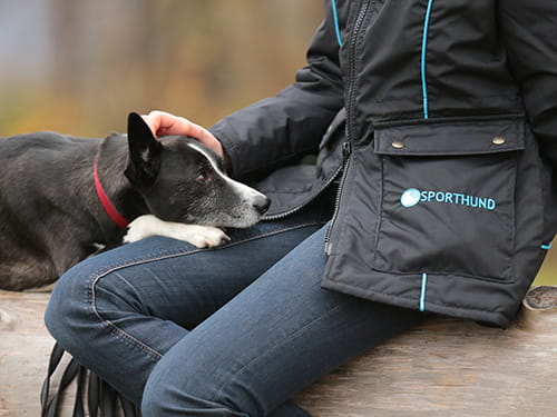 Arthrose, Schmerzen und eine Hoffnung