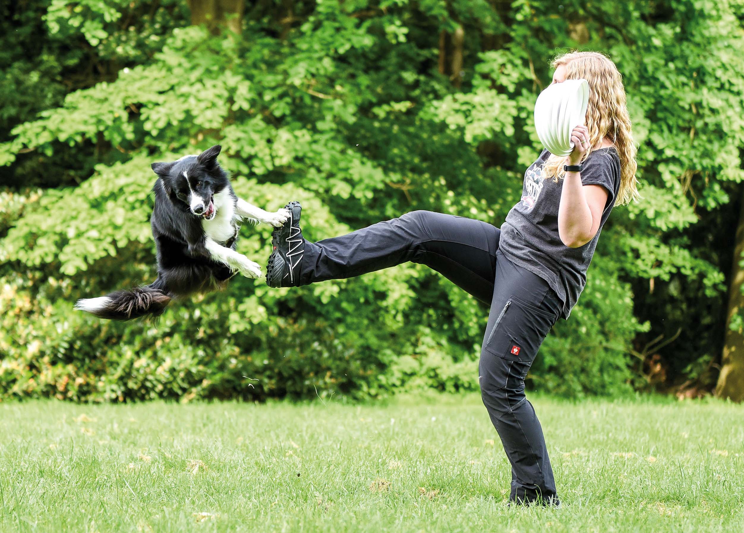 DogFrisbee Freestyle-Element: Fakie