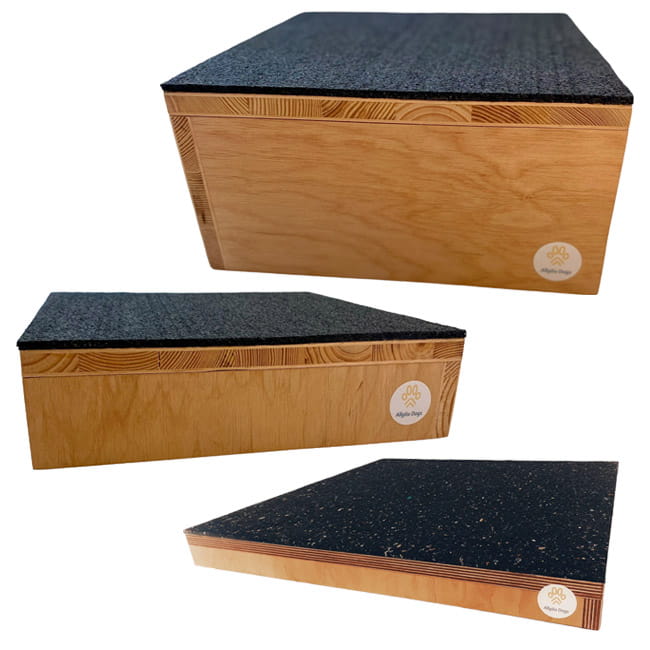 Allgäu Dogs Dualgrip