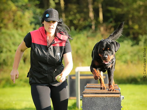 Die VDH Deutsche Meisterschaft THS steht vor der Tür