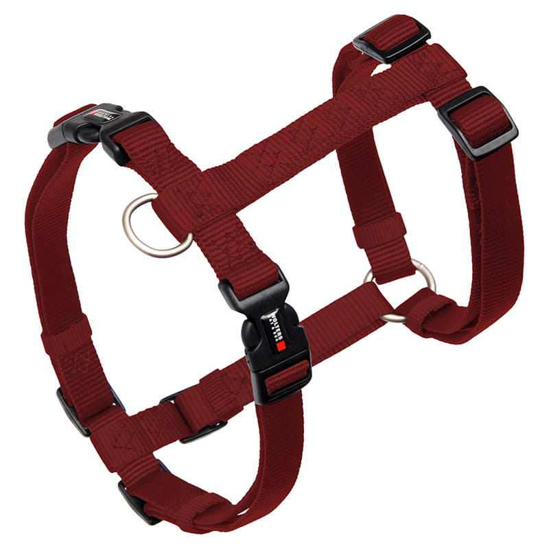 Geschirr Professional