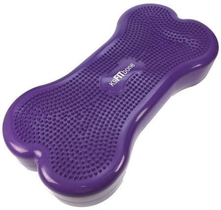 K9Fitbone Purple