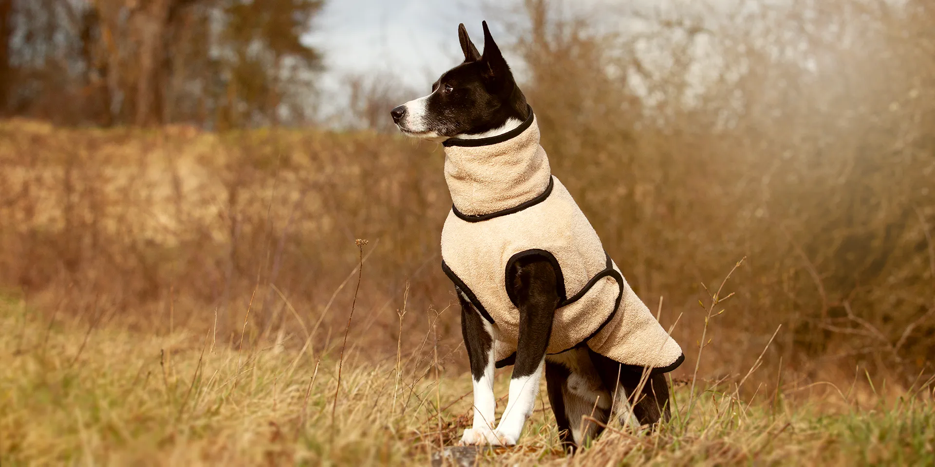 Startbanner_actionfactory_dryup_sand