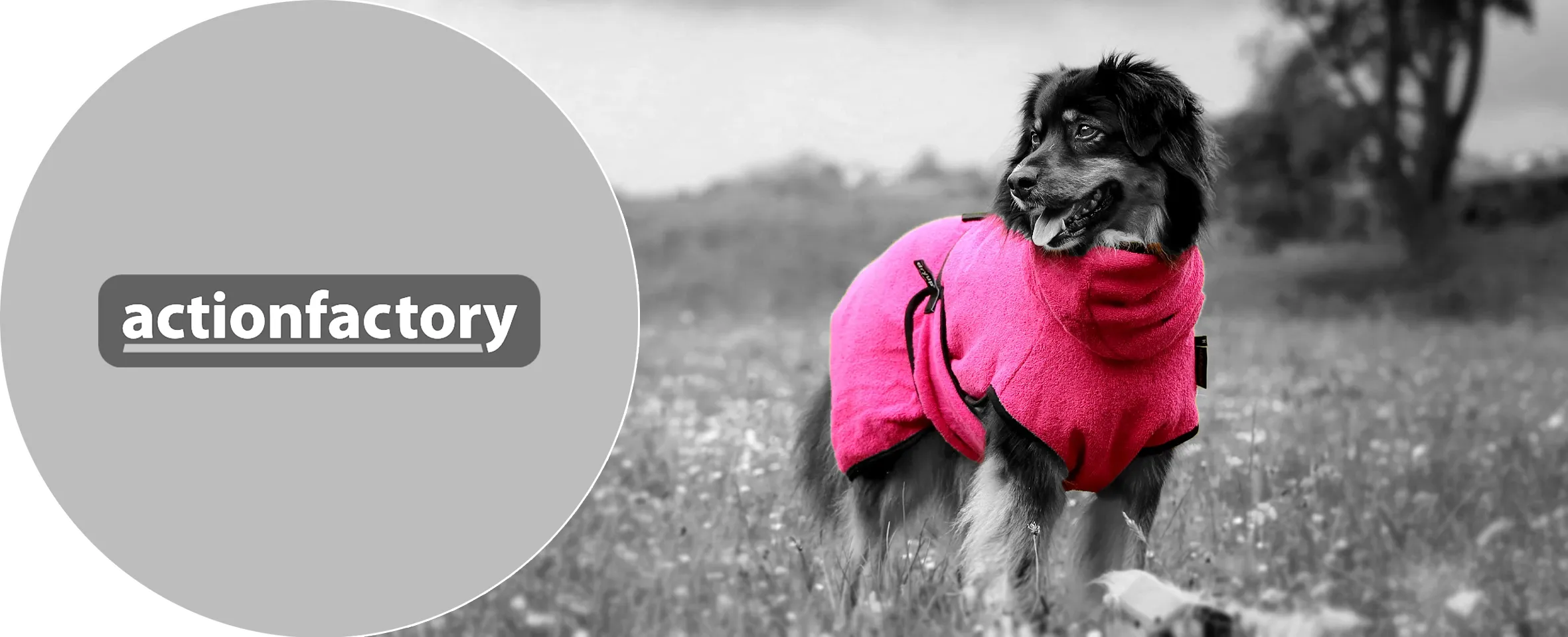 marken_actionfactory_p