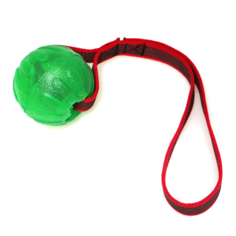 Treat Dispensing Chew Ball M/L mit HS