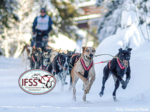 Spannend bis zur letzten Sekunde