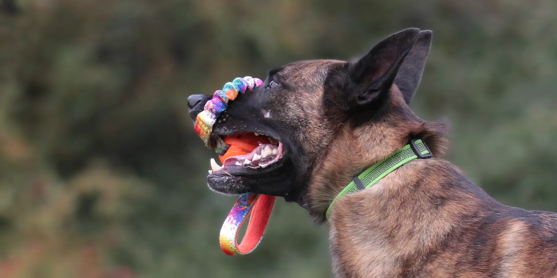 Startbanner_dogscraft_Breathe BASIC DCW