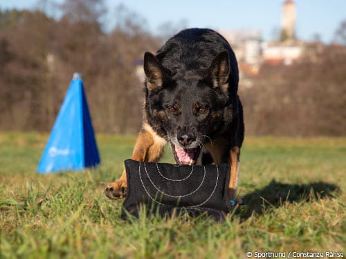 Wer bist du? Was kannst du?