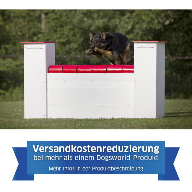 Dogsworld Agility Mauer