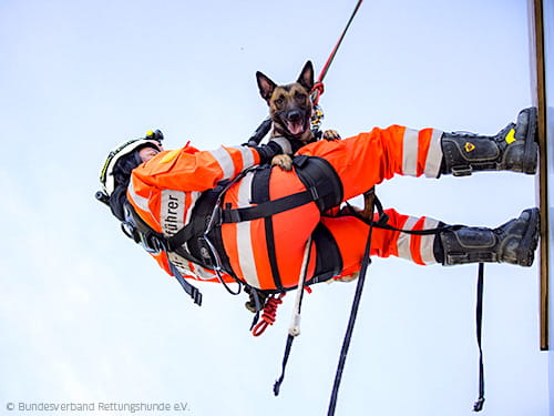 Erdbeben in der Türkei