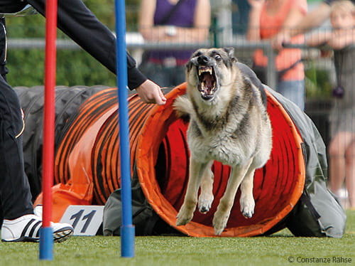 Schwierig ist immer auch eine Sache der Perspektive
