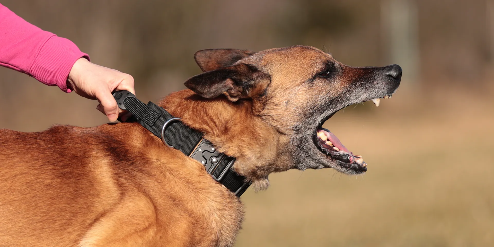 Nylonhalsband_Snap_Mali