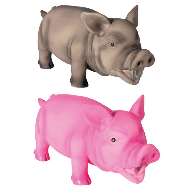 Latex-Schwein mittel