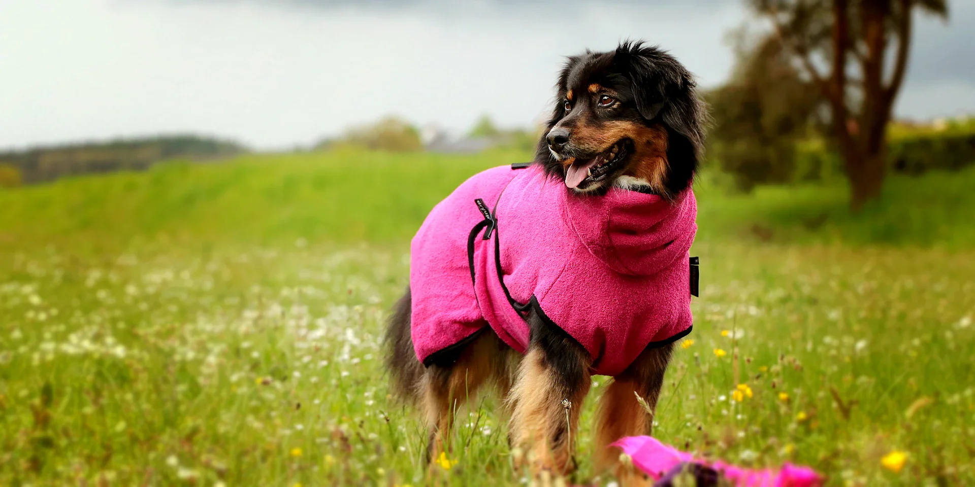 Startbanner_actionfactory_dryup_pink