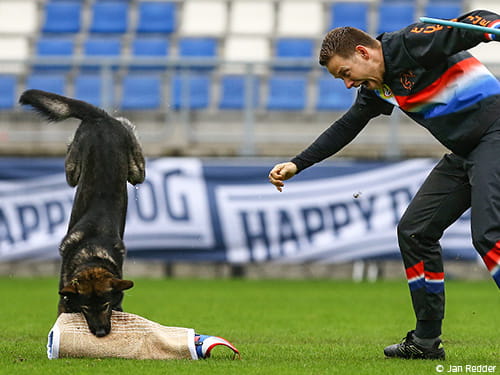 „Oops, I did it again“