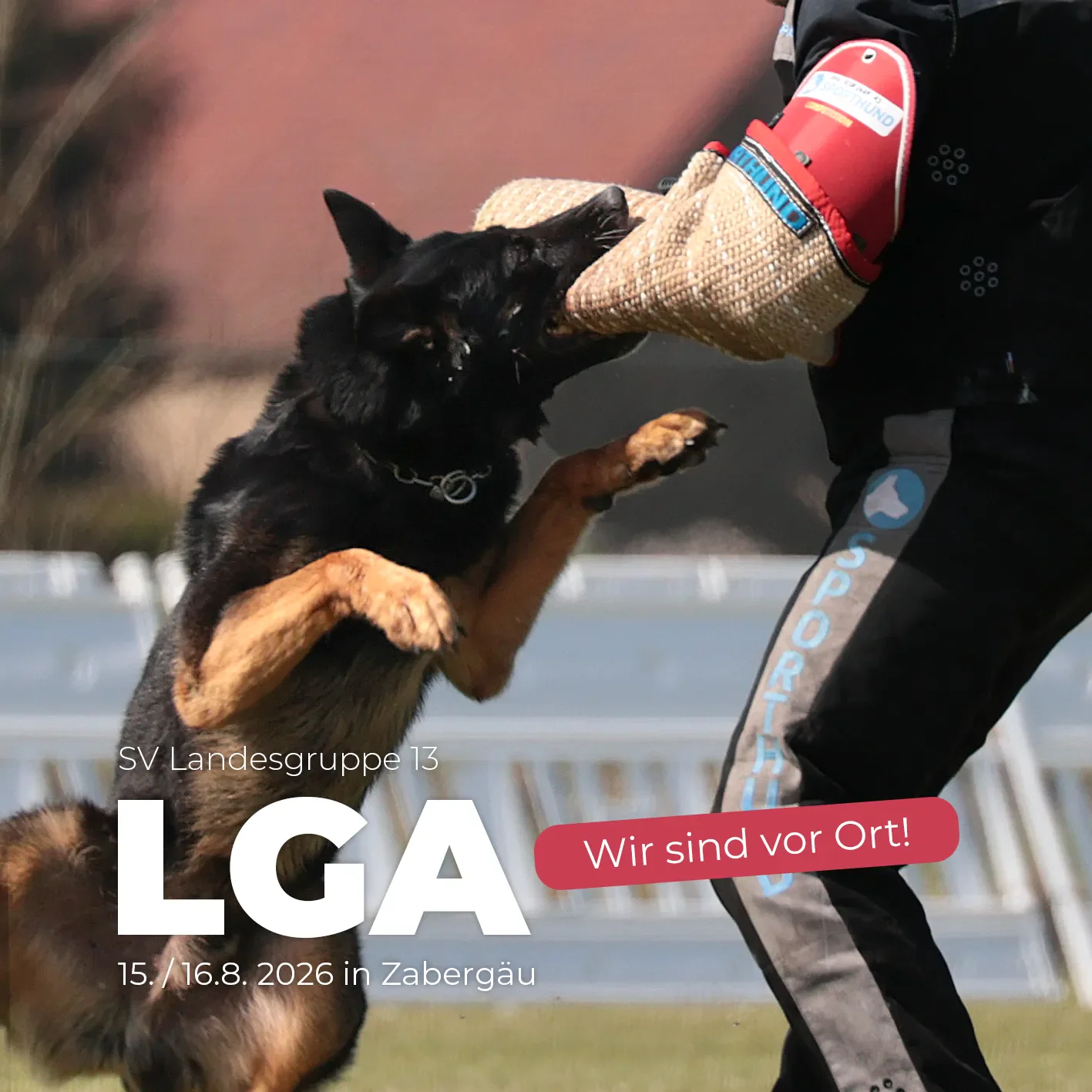 Startbanner_LGA_LG13