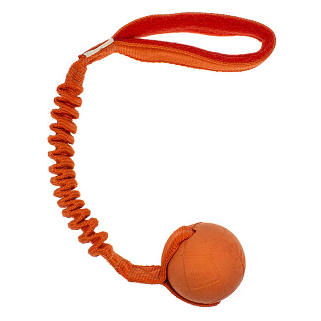 Hoko BASIC M orange